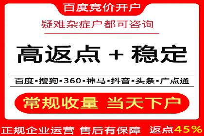 百度竞价广告的成功之路：企业运营案例集